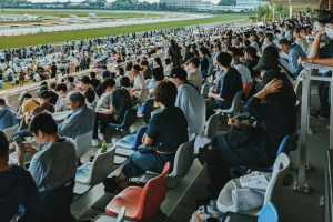 Breeders’ Cup 2024: Tips for first-time attendees